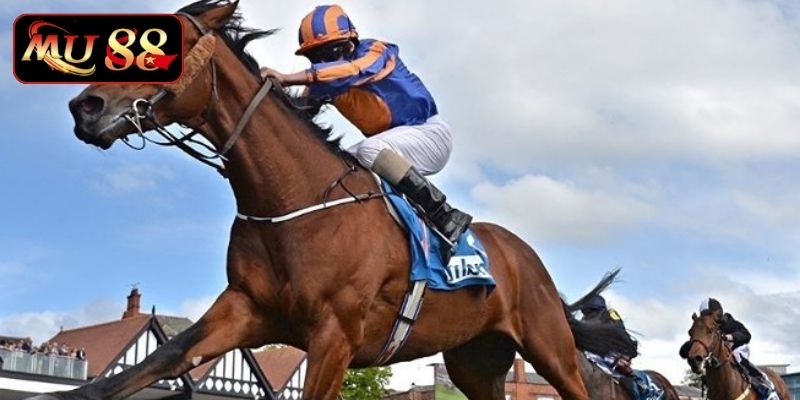 Điểm mạnh cá cược đua ngựa nhà cái MU88