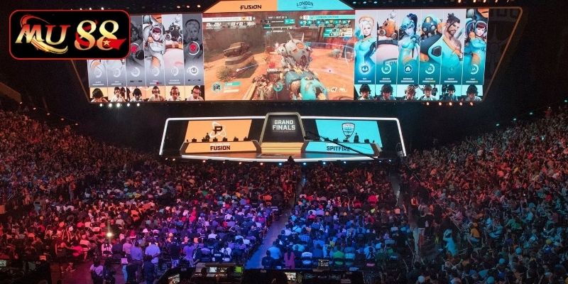 Hiểu rõ luật cơ bản trước khi cược online