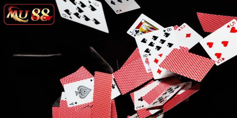 Học hỏi kinh nghiệm cược chuẩn để nâng trình cao thủ 