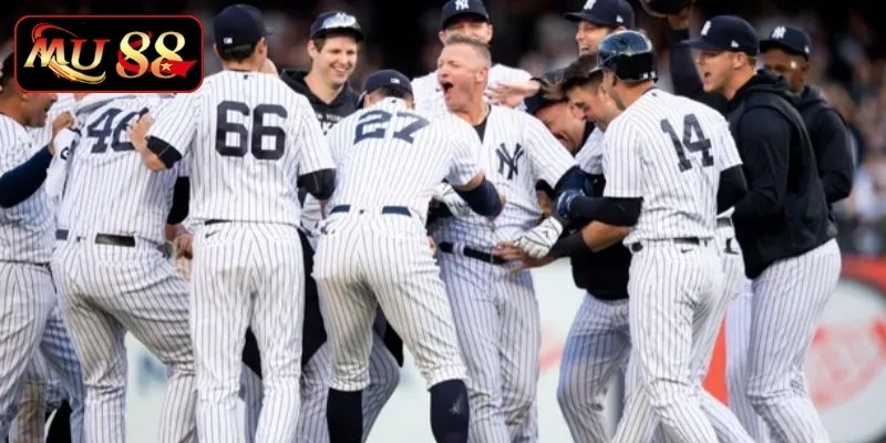 Lựa chọn cược baseball phổ biến nhất