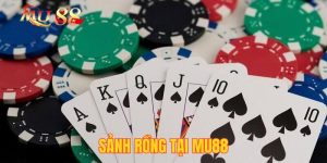 Sảnh Rồng Tại Mu88| Vai Trò & 4 Bí Kíp Thắng Game Bài